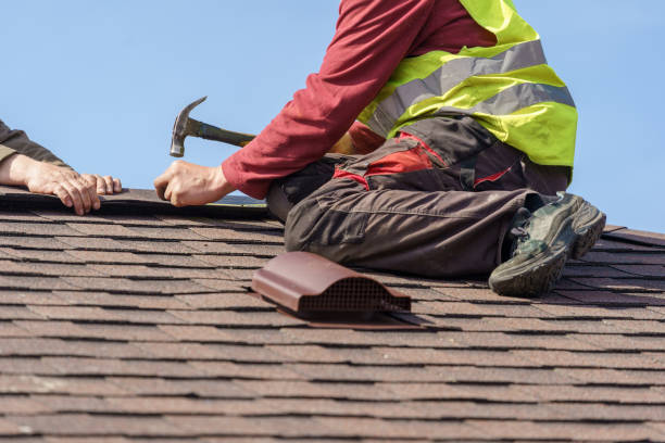 Sealant for Roof in Sutton Alpine, AK