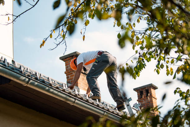 Best Tile Roofing Contractor  in Sutton Alpine, AK