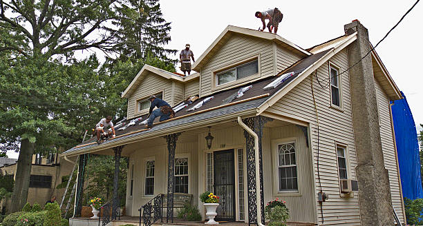 Best Gutter Installation and Roofing  in Sutton Alpine, AK