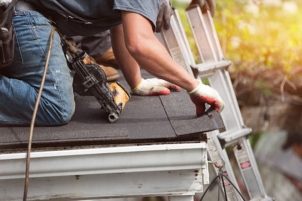 Best Gutter Installation and Roofing  in Sutton Alpine, AK