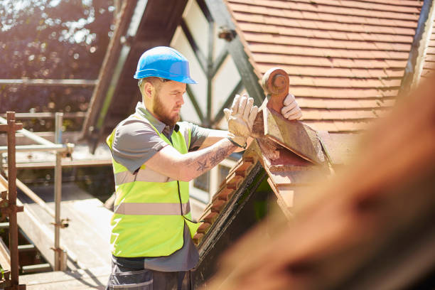Best Storm Damage Roof Repair  in Sutton Alpine, AK